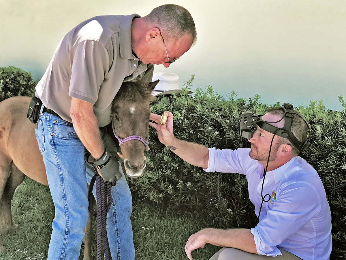 Service Rat Fur the Love of Service and Therapy Animals - Our City Media